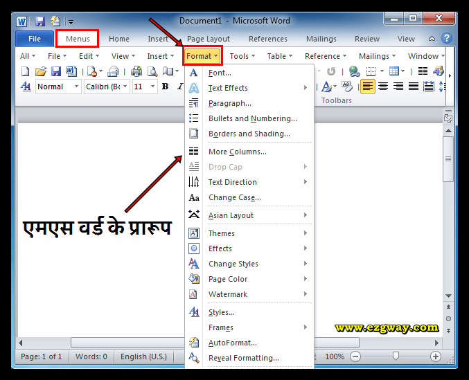 Formats of MS Word 2007 in Hindi