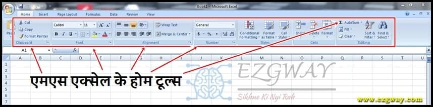 Home Tools of Microsoft Excel 2007 in Hindi